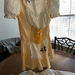 Charades Goldee Locks Costume