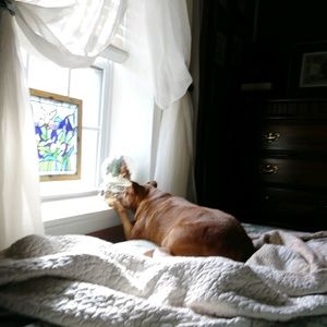 Meet your Posher, Dawn