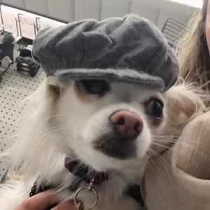 Meet your Posher, Caroline