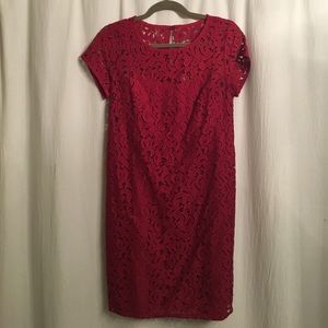 Loft holiday dress
