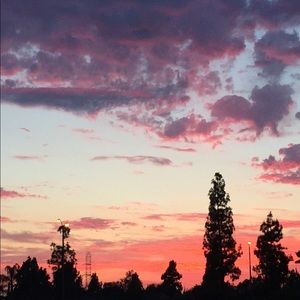 Meet your Posher, Adelaida