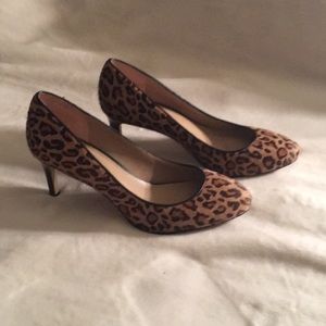 Banana Republic Calf Hair animal print shoe