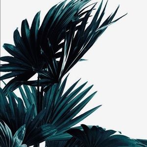 Meet your Posher, Guadalupe