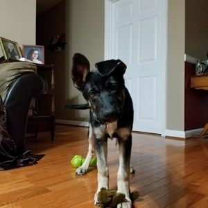 Meet your Posher, Jacob