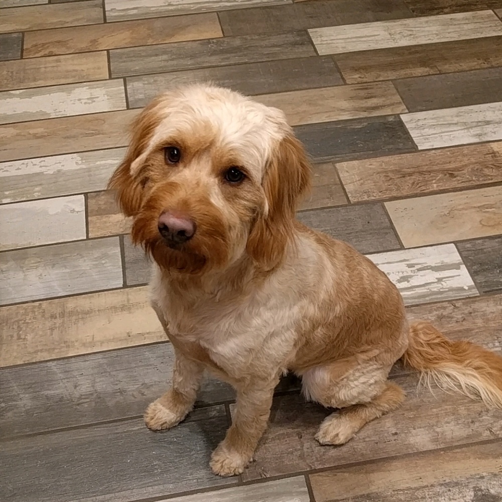 Meet your Posher, Skylar