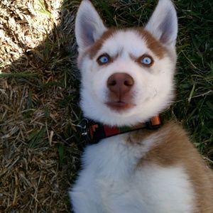 Meet your Posher, Beverly