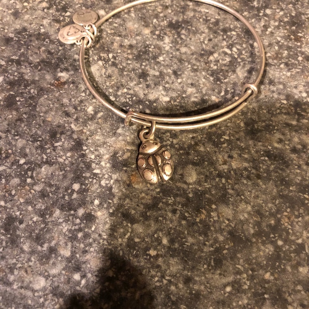 Alex and Ani Ladybug
