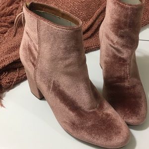 Steve Madden Cynthia Velvet Booties