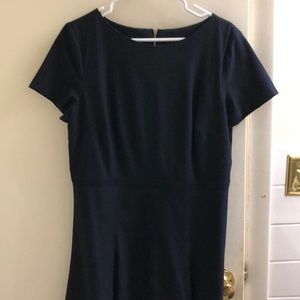 Ann Taylor Navy Dress Size 12