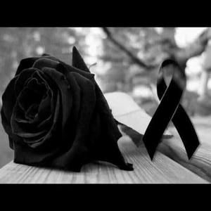 Meet your Posher, La