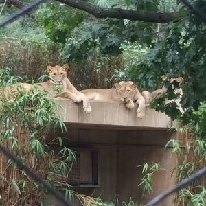 Meet your Posher, Keisha