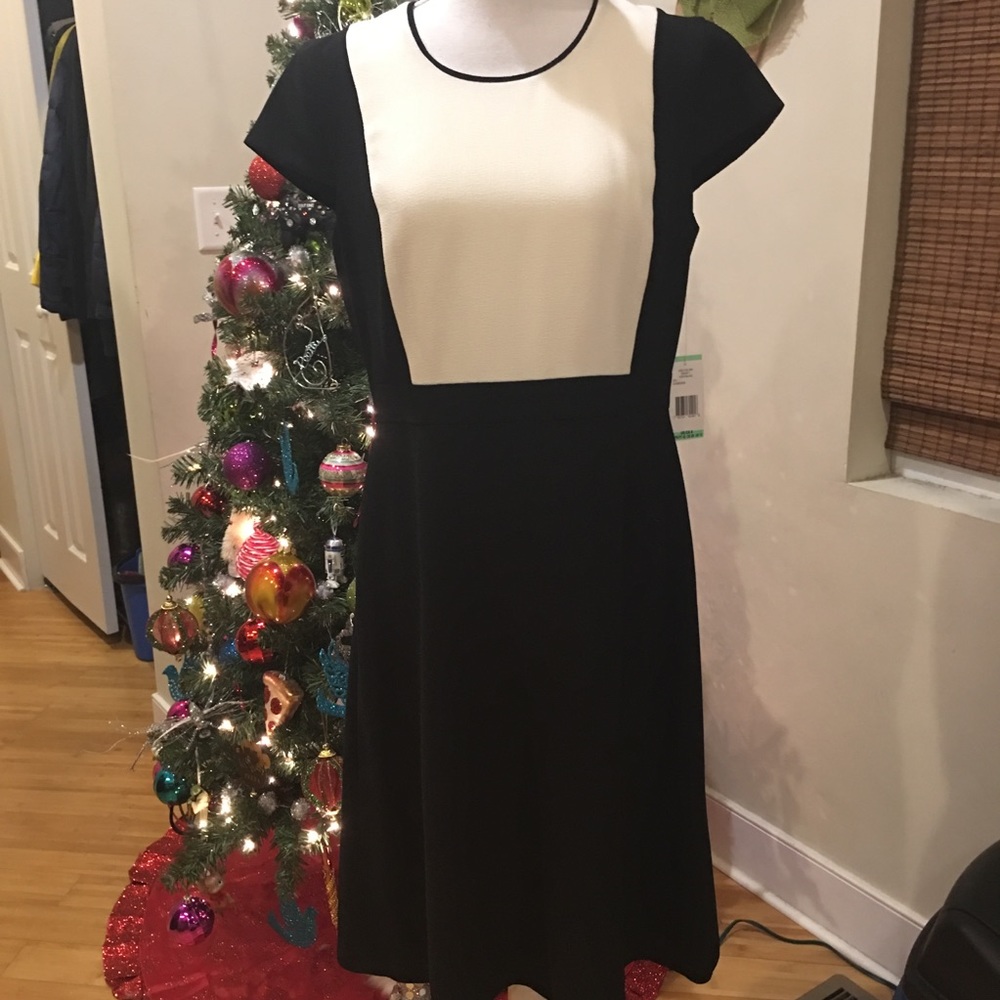 Jones New York Dress