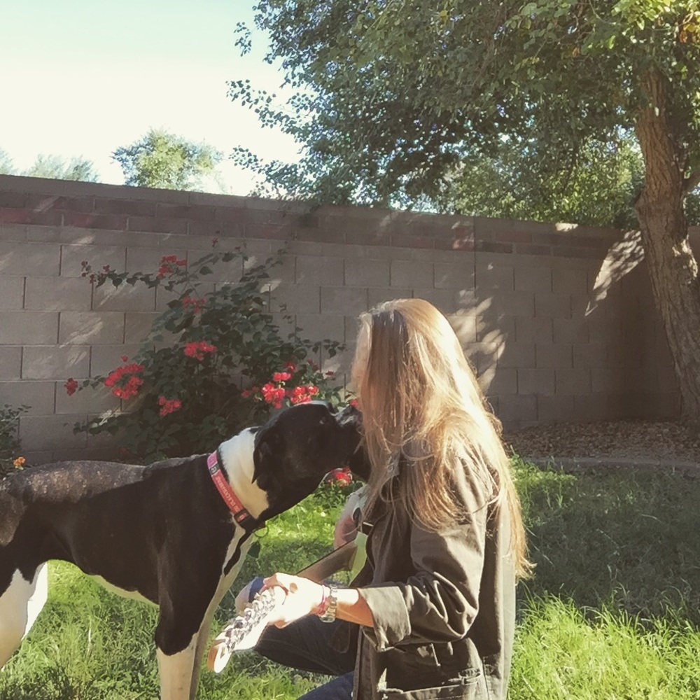 Meet your Posher, Casey