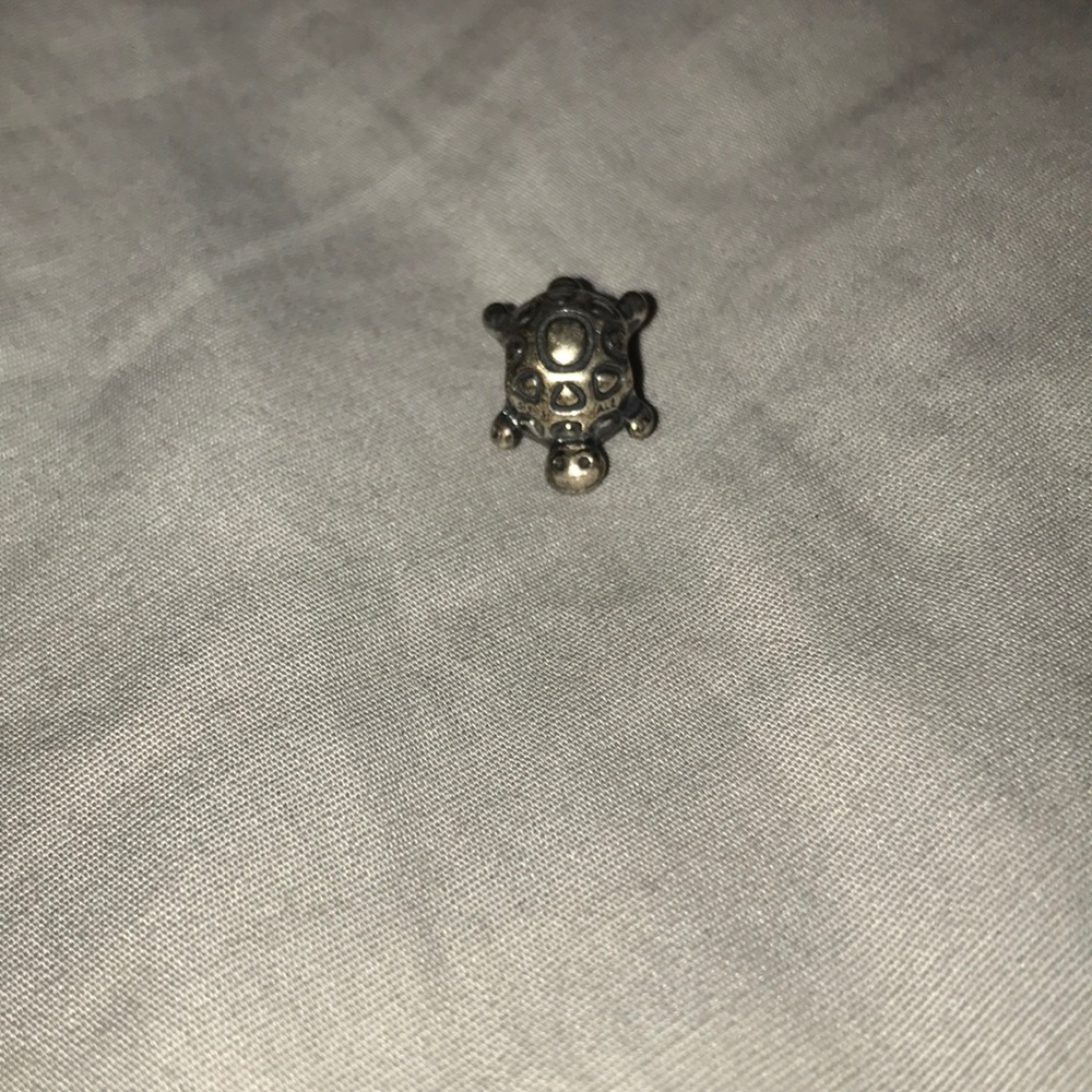 Charm for pandora bracelet