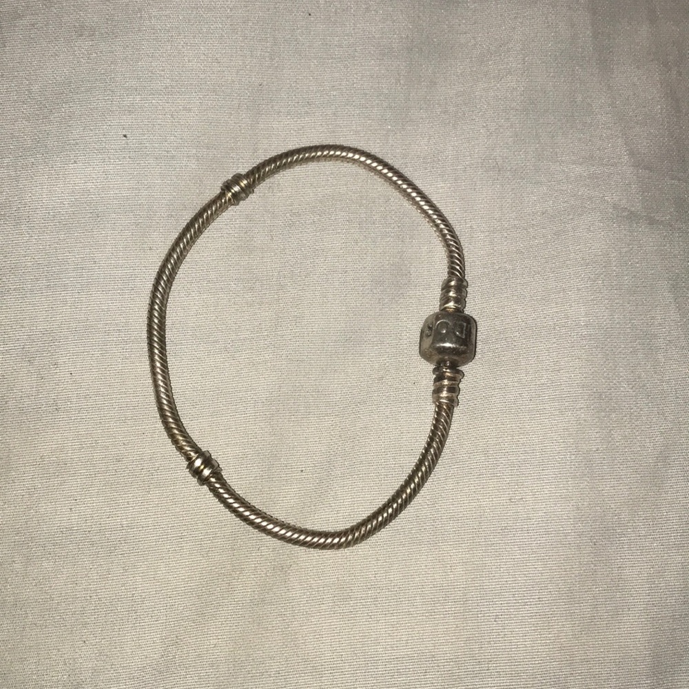 Pandora charm bracelet