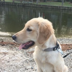 Meet your Posher, Larissa