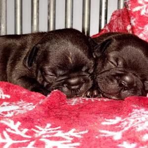 Meet your Posher, Tammy