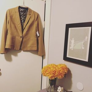 The Limited Khaki Blazer