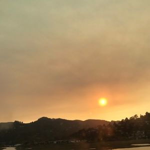 Meet your Posher, Leo