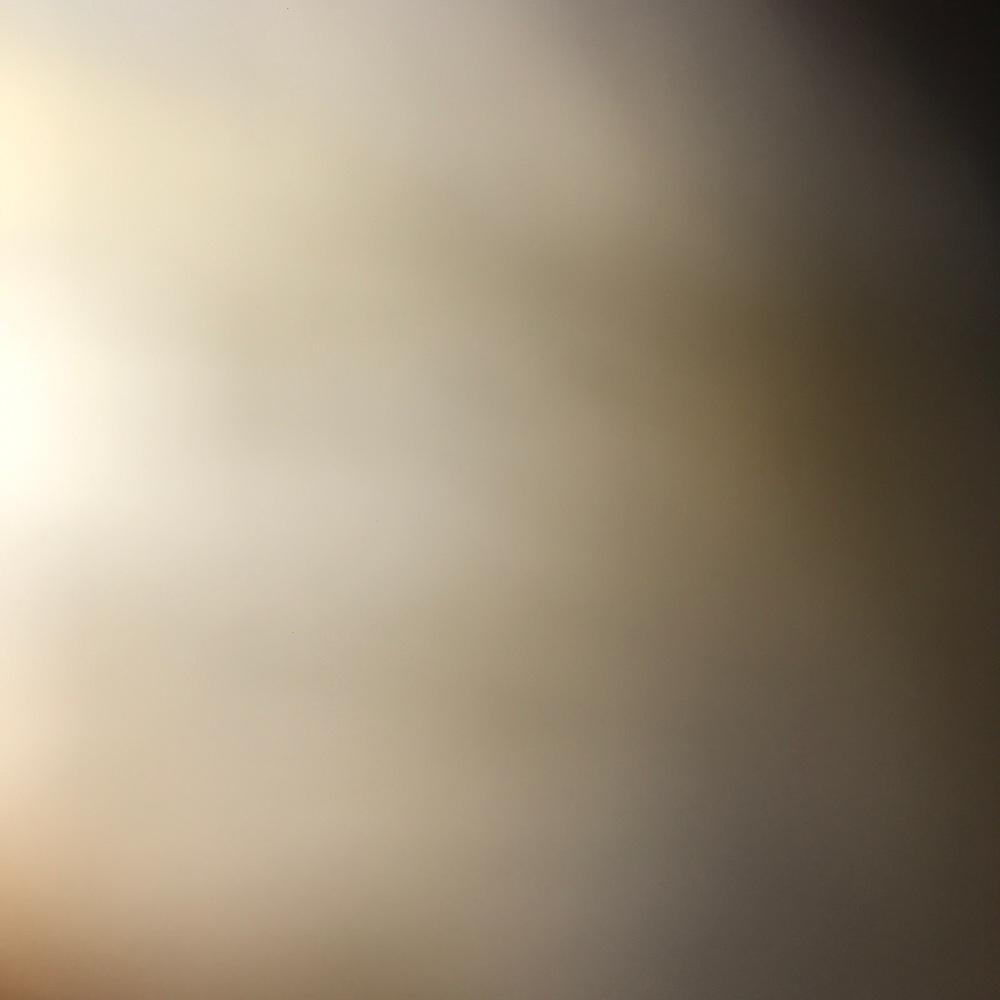 Meet your Posher, Lola