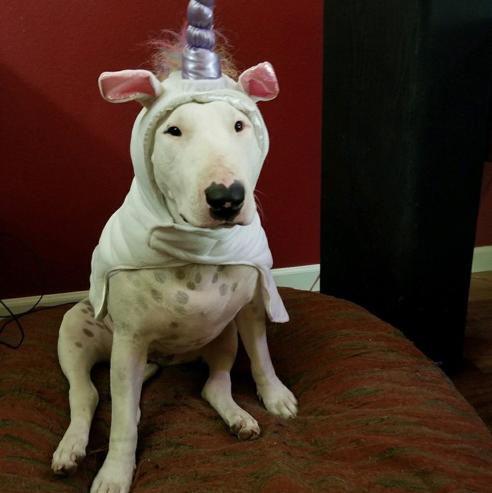 Meet your Posher, Caroline