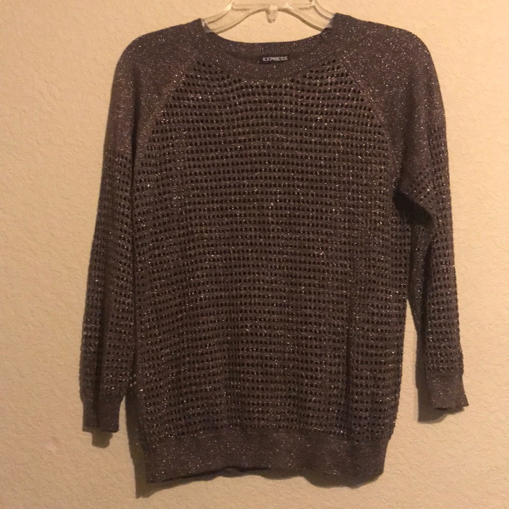 Express Holiday Sweater