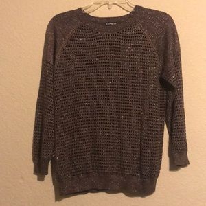 Express Holiday Sweater