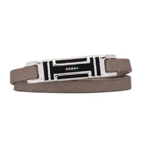 Fitbit Flex 2 Case/Braclet