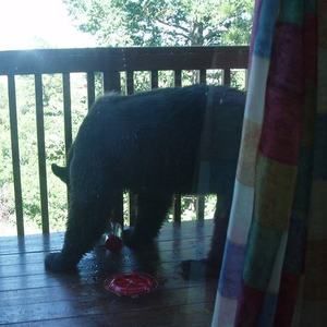 Meet your Posher, Jt