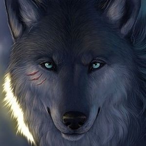 Meet your Posher, Saundra