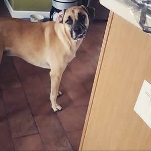 Meet your Posher, Chelsey