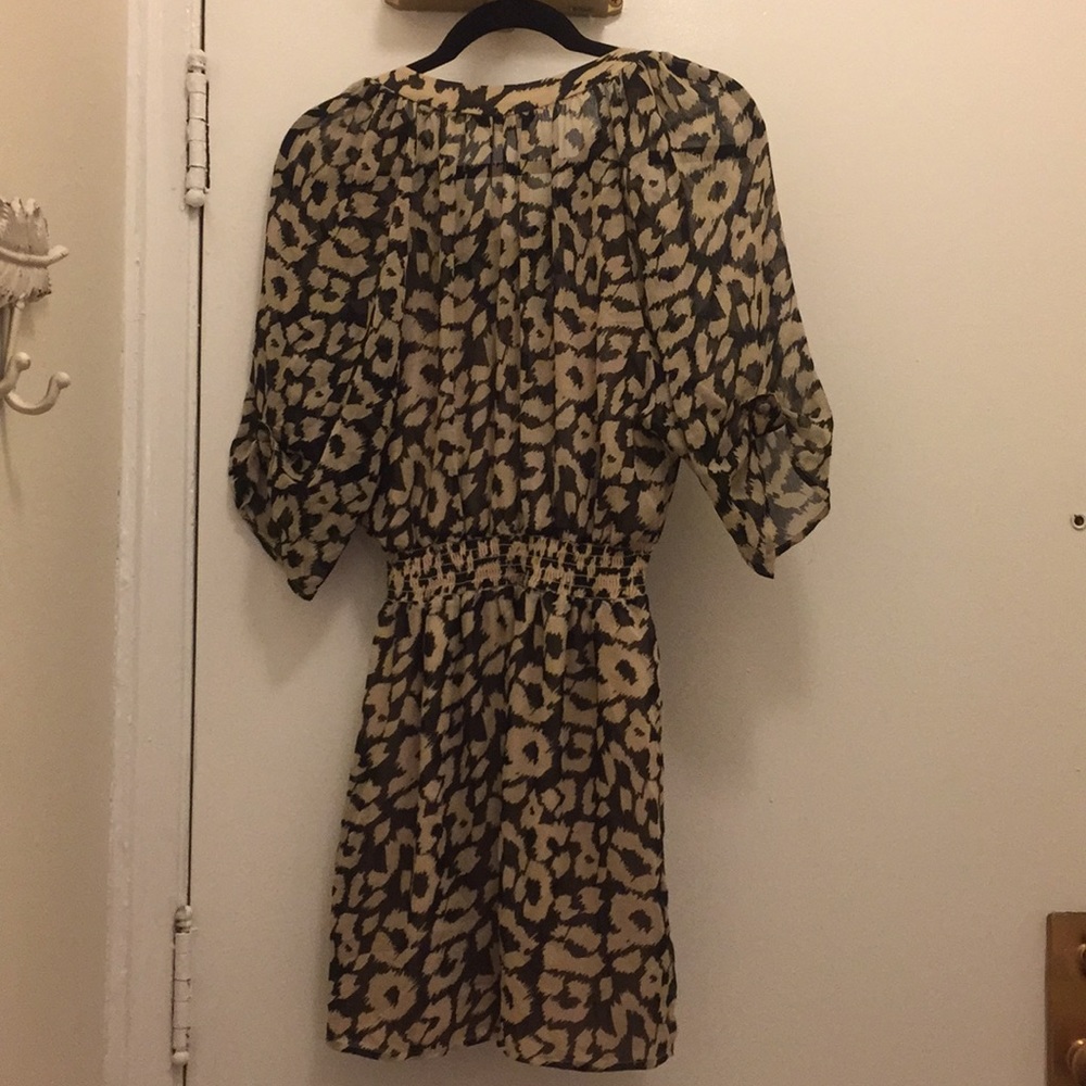 Express Dress - Picture 2 of 2
