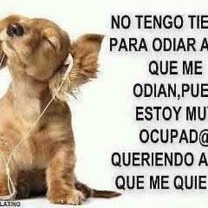 Meet your Posher, Nena