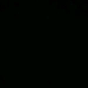 Meet your Posher, Hector