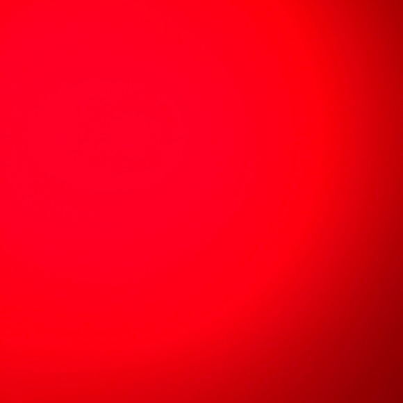 Meet your Posher, Taylor - Picture 1 of 1