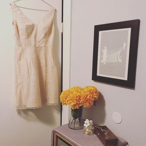 Vera Wang Champagne Lace Dress