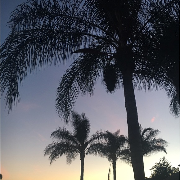 Meet your Posher, Evelin - Picture 1 of 1