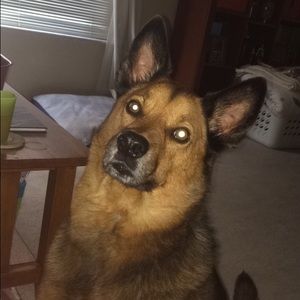 Meet your Posher, Allison