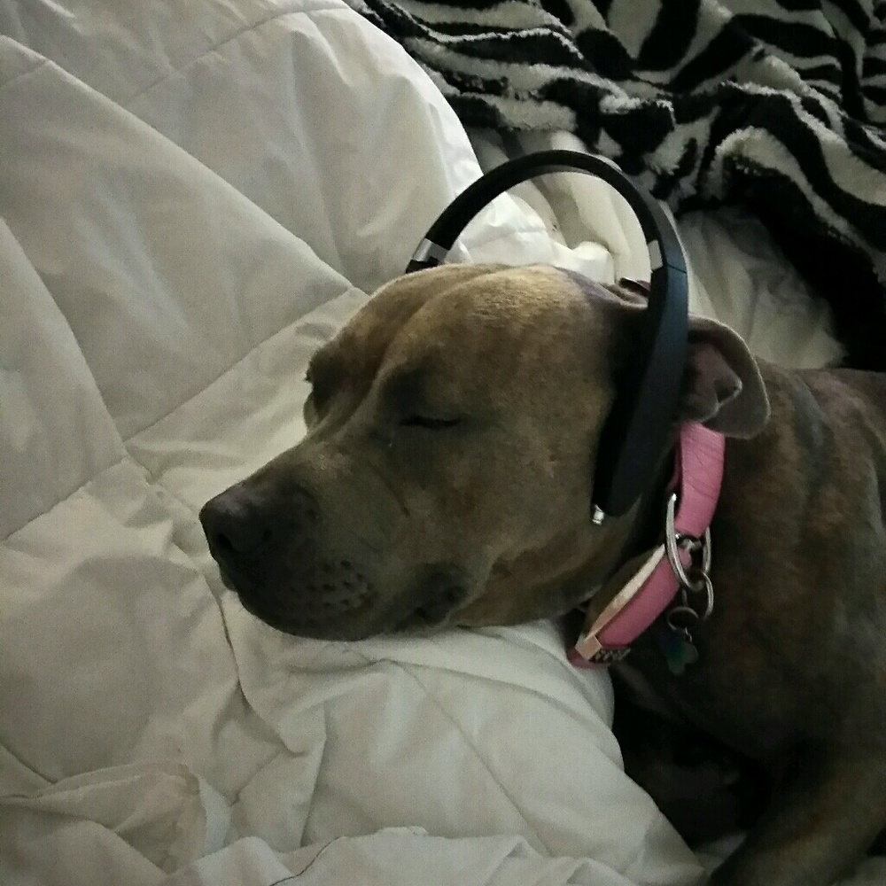 Meet your Posher, Catherine