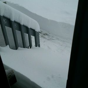 Meet your Posher, Willie