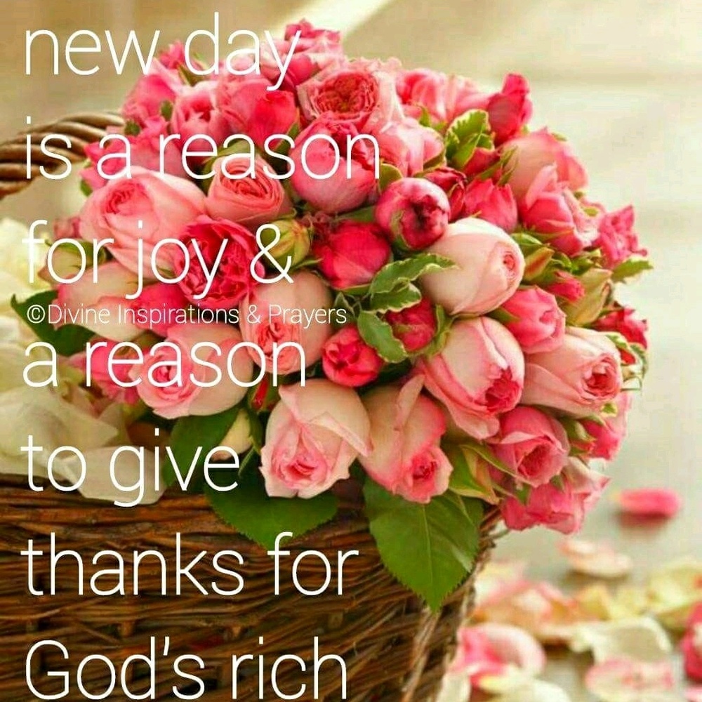 Meet your Posher, Aminata