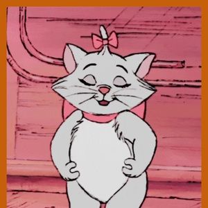 Meet your Posher, Kat