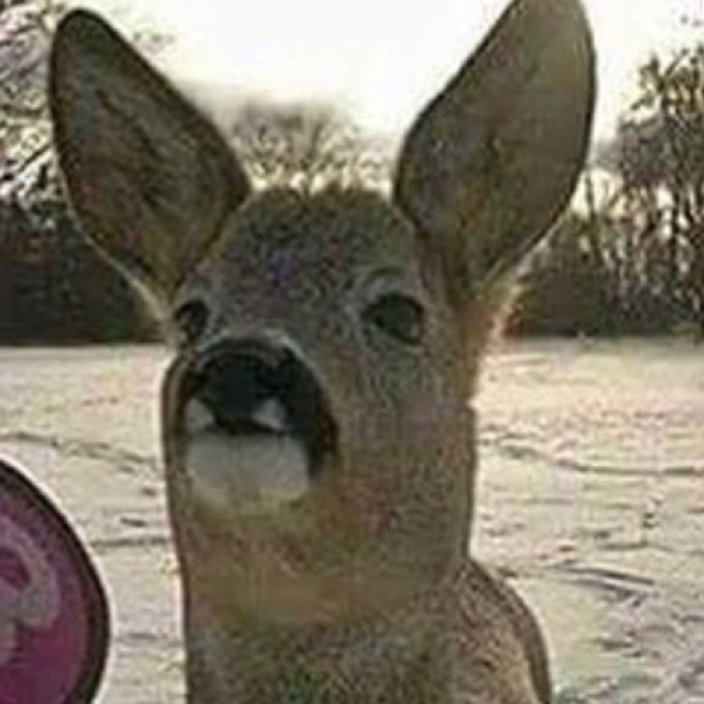 Meet your Posher, Jose