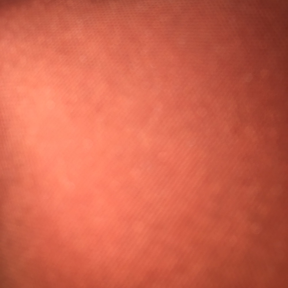 Meet your Posher, Alondra