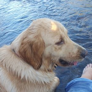 Meet your Posher, Beverly