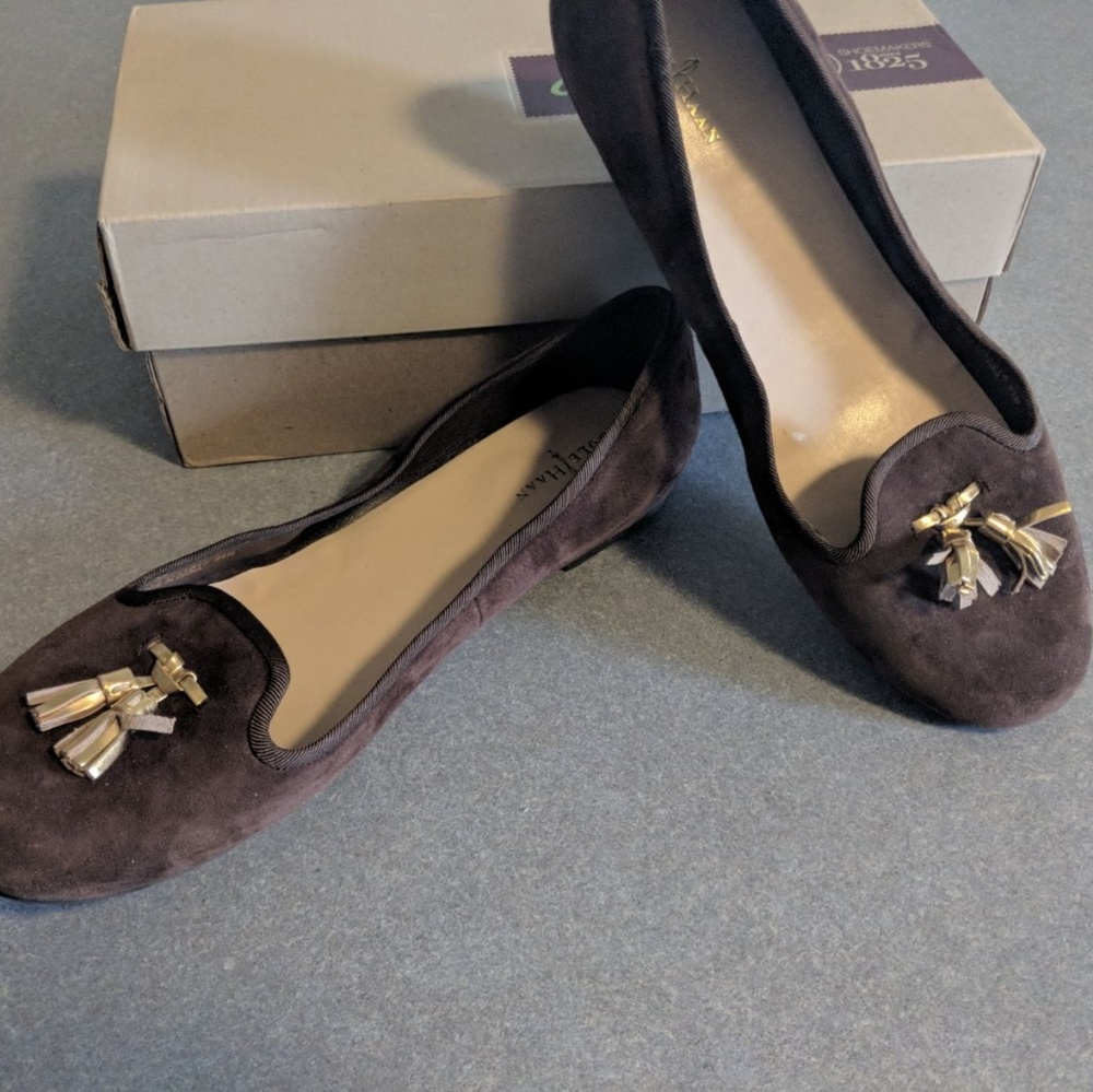 Brown suede shoes