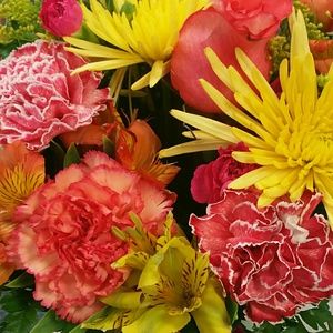 Meet your Posher, Hope