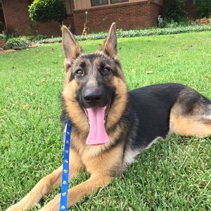 Meet your Posher, Patrick