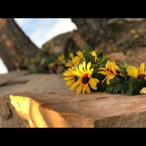 Meet your Posher, Lane