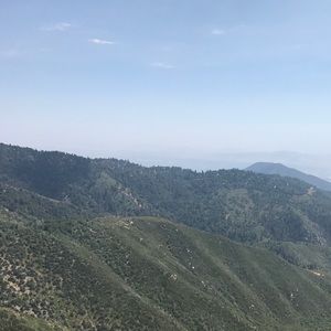 Meet your Posher, Allyson